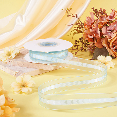 Polyester Lace Ribbon OCOR-TADJ0001-07G-1
