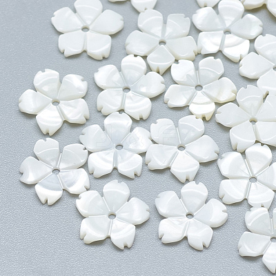 Freshwater Shell Beads SHEL-S275-033-1