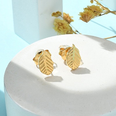 304 Stainless Steel Stud Earrings for Women STAS-Z117-14G-03-1