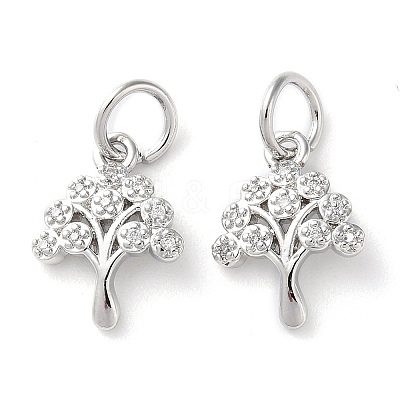 Rack Plating Brass Micro Pave Clear Cubic Zirconia Charms KK-D097-05P-1