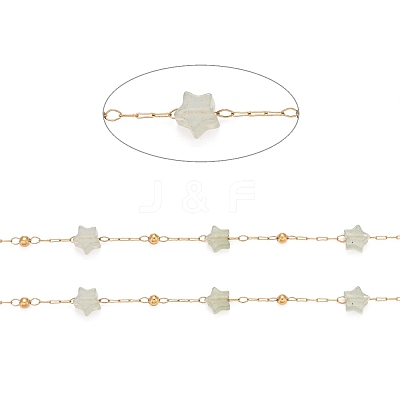 Ion Plating(IP) 304 Stainless Steel Satellite Chains CHS-G019-01G-02-1