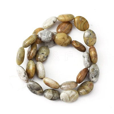 Natural Crazy Lace Agate Beads Strands G-WH0026-20-1