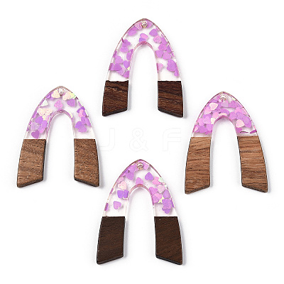Transparent Resin & Walnut Wood Pendants RESI-N039-66A-1