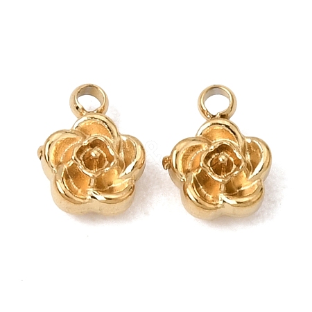 304 Stainless Steel Charms SA-CBABF3F-13G-09-1