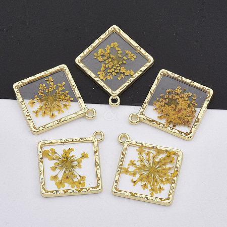 Light Gold Plated Alloy Pendants PALLOY-N150-30-1