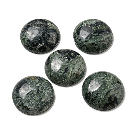 Natural Kambaba Jasper Cabochons G-C115-02B-24-1