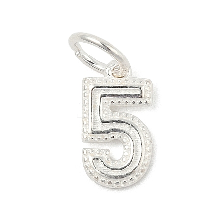 Number Series 925 Sterling Silver Charms STER-Q002-01F-1