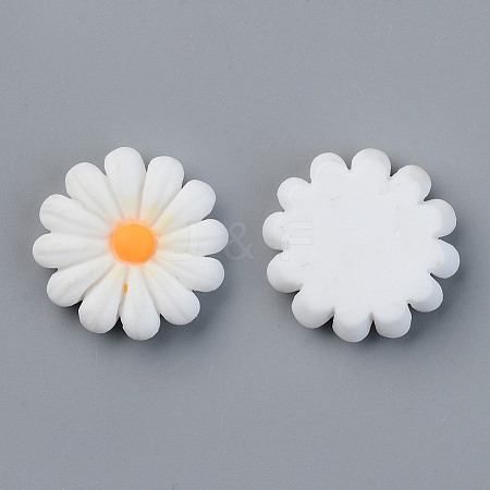 Resin Cabochons RESI-R429-04B-06-1