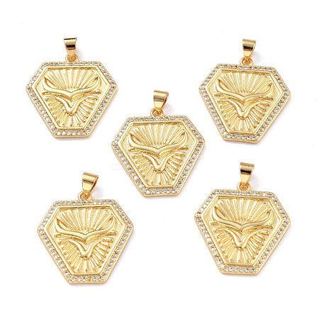 Brass Micro Pave Clear Cubic Zirconia Pendants ZIRC-L100-053G-1