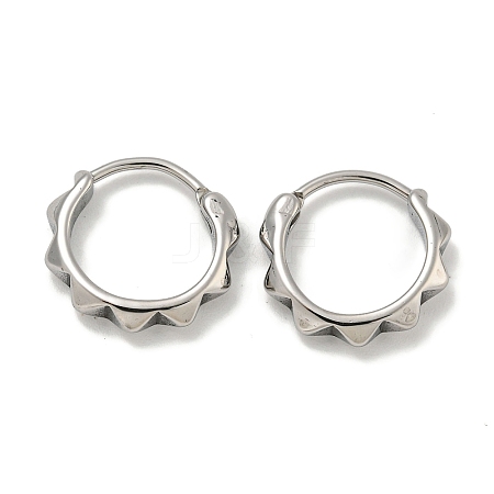 316 Surgical Stainless Steel Hoop Earrings EJEW-D096-17B-AS-1