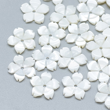 Freshwater Shell Beads SHEL-S275-033-1