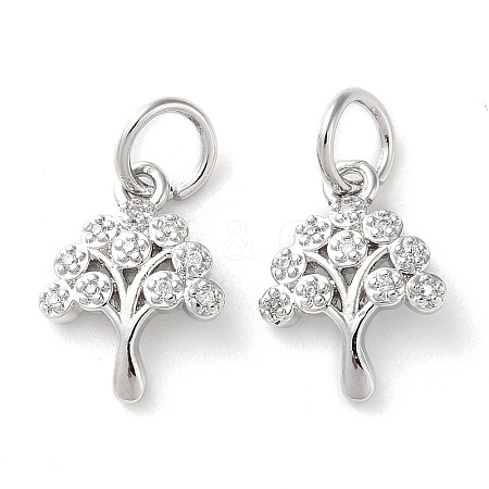 Rack Plating Brass Micro Pave Clear Cubic Zirconia Charms KK-D097-05P-1
