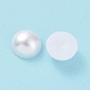 ABS Plastic Imitation Pearl Cabochons SACR-XCP0001-04A-3