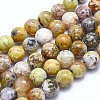 Natural Yellow Opal Beads Strands LS-G-I213-18-10mm-1