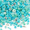 50g Glass Seed Beads SEED-TA0001-67C-2