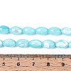 Natural Trochus Shell Beads Strands SHEL-K006-19-01B-4