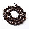 Natural Bronzite Chip Beads Strands X-G-E271-127-2