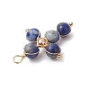 Natural Lapis Lazuli Pendants PALLOY-JF02885-05-4