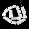 Plating Natural Freshwater Shell Beads Strands SHEL-N026-222-2