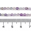 Natural Fluorite Beads Strands G-O201B-101A-5