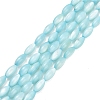 Natural Freshwater Shell Beads Strands SHEL-C010-01C-1