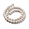 Synthetic Turquoise and Sea Shell Assembled Beads Strands G-D482-01D-05-3