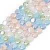 Electroplate Glass Beads Strands EGLA-G039-05A-01-1