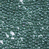 Glass Beads SEED-S040-06A-09-3