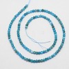 Natural Apatite Beads Strands X-G-D856-01-4mm-2