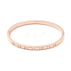Clear Cubic Zirconia Bangle STAS-P303-02-2