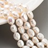 Natural Cultured Freshwater Pearl Beads Strands PEAR-P062-29F-2