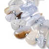 Natural Blue Lace Agate Beads Strands G-L649-A02-01-4