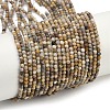 Natural Alashan Agate Beads Strands G-C181-B05-01-2