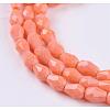 Opaque Solid Color Glass Beads Strands X-GLAA-A036-G06-3
