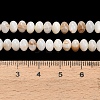 Natural Freshwater Shell Beads Strands SHEL-C010-04A-01-4