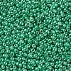 TOHO Round Seed Beads SEED-TR11-0561-2