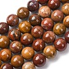 Natural Alashan Agate Beads Strands G-H343-D05-12mm-B-2