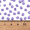 FGB Baking Paint Glass Seed Beads SEED-Q040-09A-16-4