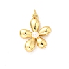 Brass Pendants X-KK-A266-34G-1