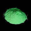 Nail Art Luminous Powder MRMJ-M003-01C-4