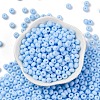 Baking Paint Glass Seed Beads SEED-C003-02A-2