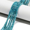 Natural Blue Apatit Beads Strands G-H042-B12-01B-2