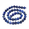 Natural Lapis Lazuli Beads Strands G-F715-021-2