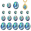 18Pcs 3 Styles Natural Paua Shell Cabochons SSHEL-PH0001-43-1