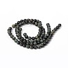 Natural Kambaba Jasper Beads Strands X-G-M172-4mm-01-2