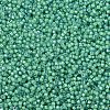 MIYUKI Delica Beads SEED-MY11-DB2053-3