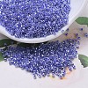 MIYUKI Delica Beads SEED-X0054-DB0243-1