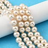 Preciosa® MAXIMA Crystal Nacre Pearls X-PRC-NPA10-71000-1