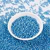 MIYUKI Round Rocailles Beads X-SEED-G007-RR0573-2