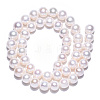 Natural Cultured Freshwater Pearl Beads Strands PEAR-N016-08A-4